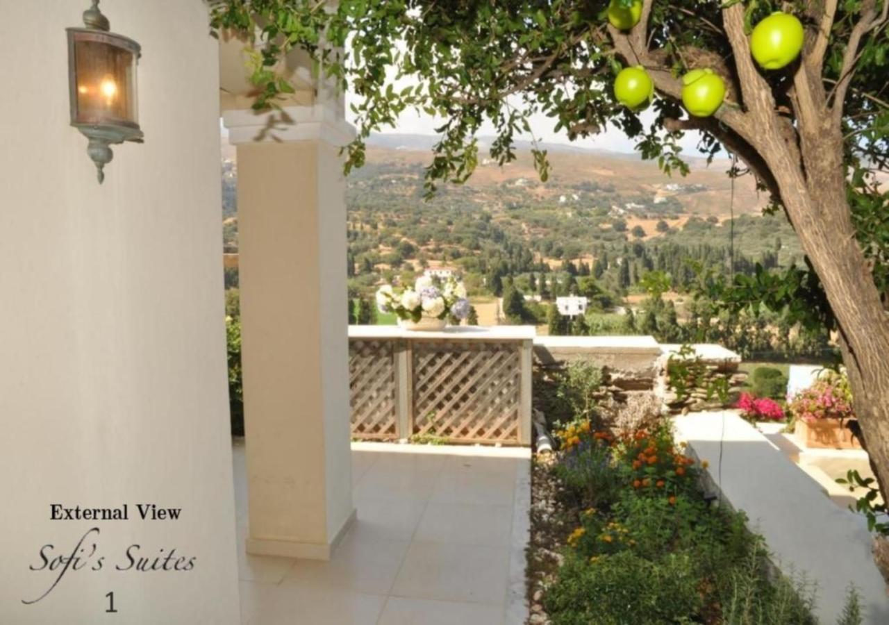 Sofi'S Suites Andros 外观 照片