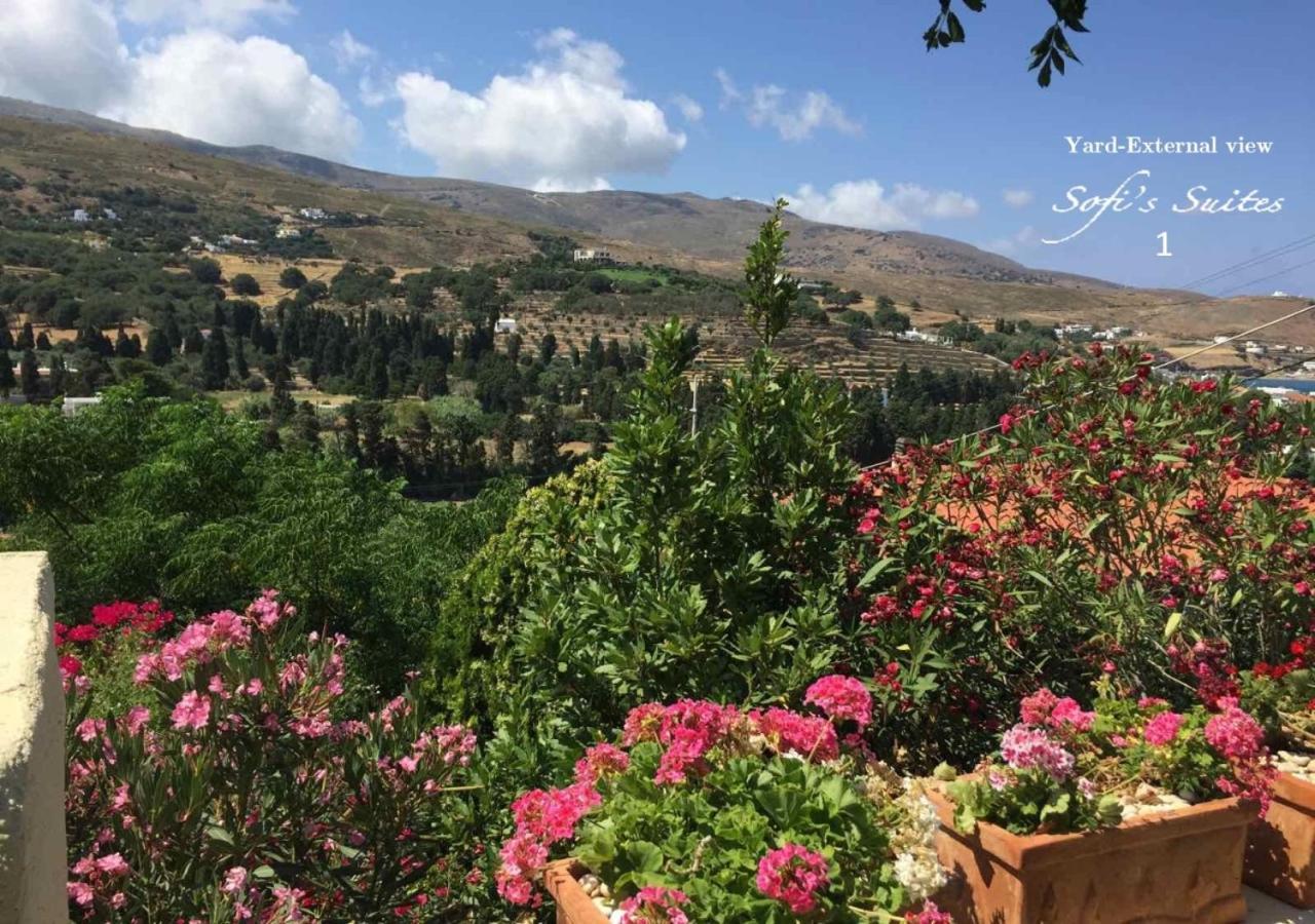 Sofi'S Suites Andros 外观 照片